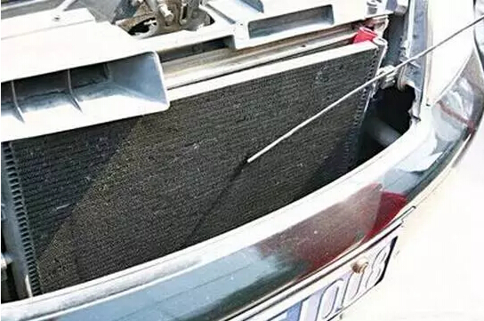 QQ截圖20160722101856.jpg QQ截圖20160722101856.jpg