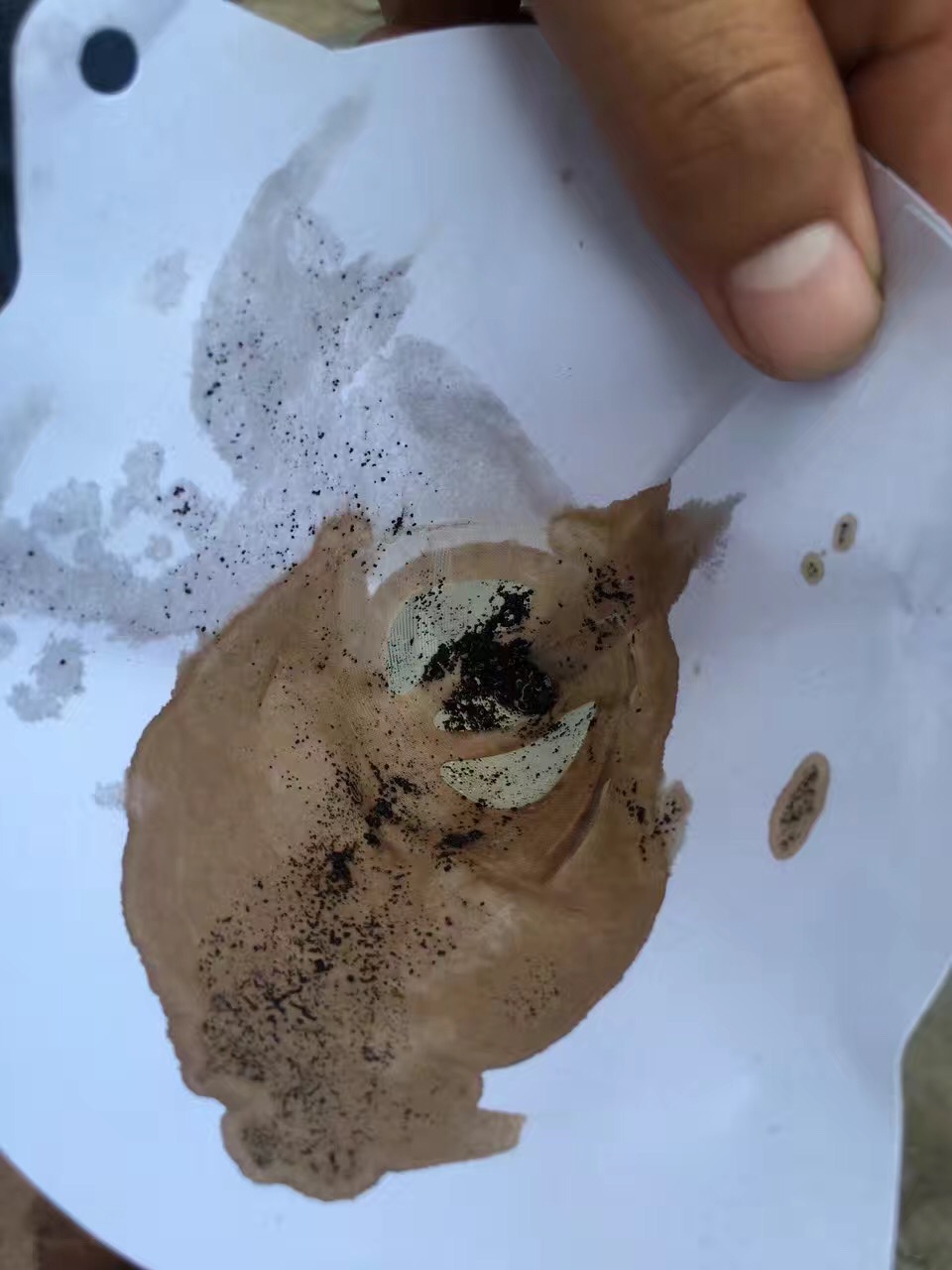 733250547409906276.jpg 733250547409906276.jpg